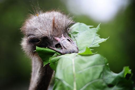 1602_gal.jpg