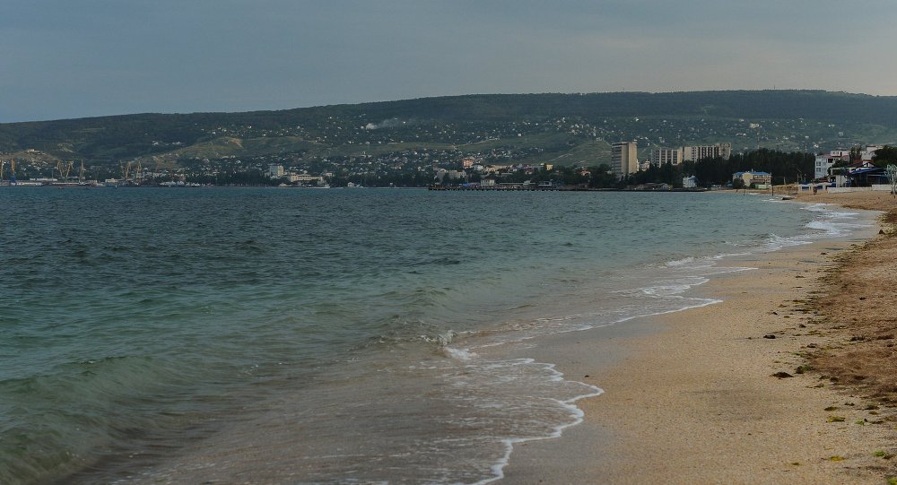 Договор Украјине и Турске о јачању безбедности на Црном мору