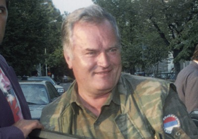 Младићев адвокат: Своје адуте ћемо изнети касније