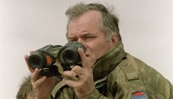 Младићево хапшење: да ли је Тадић Јуда?