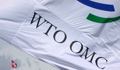 Г20 против дугог таласа кризе