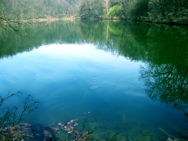 Ултиматум Србији да прода своје ресурсе воде