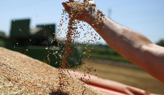 Русија потписала споразум са УН и Турском о извозу жита