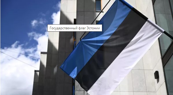 Естонија прогласила Русију „државом спонзором тероризма“