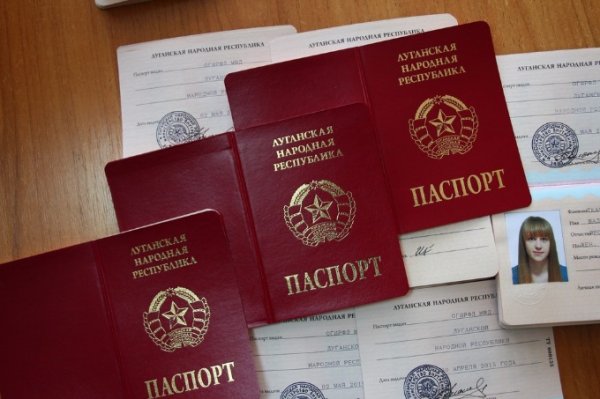 Немачка: Руско признавање докумената ДНР и ЛНР у супротности са Минским споразумом
