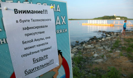 У Приморју отворили сезону лова на ајкуле