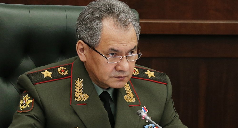 Шојгу: Радови на војној инфраструктури на Арктику ће бити завршени до 2020.