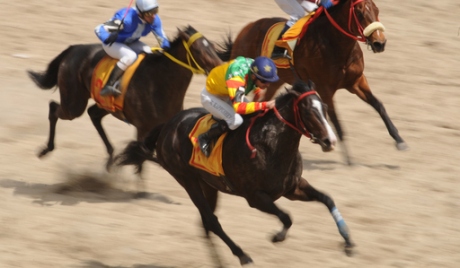 Победник Grand National задобио повреду пошто је пао са коња