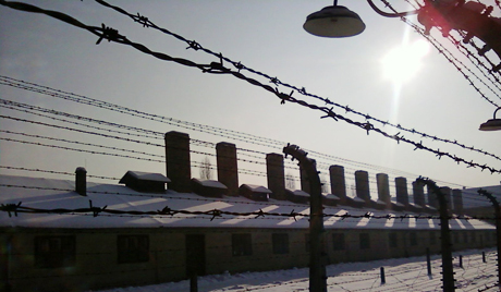 Италијан украо парче бодљикаве жице Аушвица