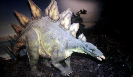 U Indiji trguju jajima dinosaurusa